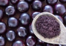 Bacche di Acai: tutte le info, proprietà nutrizionali, dimagrire