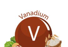 Quando è consigliato il vanadio? Proprietà, alimenti, carenza