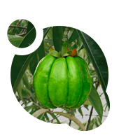 Brucia i grassi e aiuta a rendere la figura snella