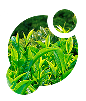 Impedisce la comparsa delle smagliature