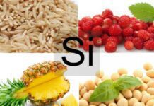 Sintomi di carenza di silicio, Proprietà utili del silicio