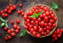 Proprietà dei mirtilli rossi, il cranberry e il cowberry