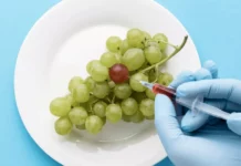 Gli ingredienti più pericolosi nel cibo