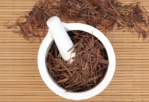 Pau D’arco: proprietà, benefici e usi