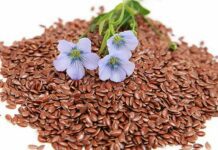 Combattere la stitichezza con i semi di lino