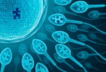 Infertilità maschile